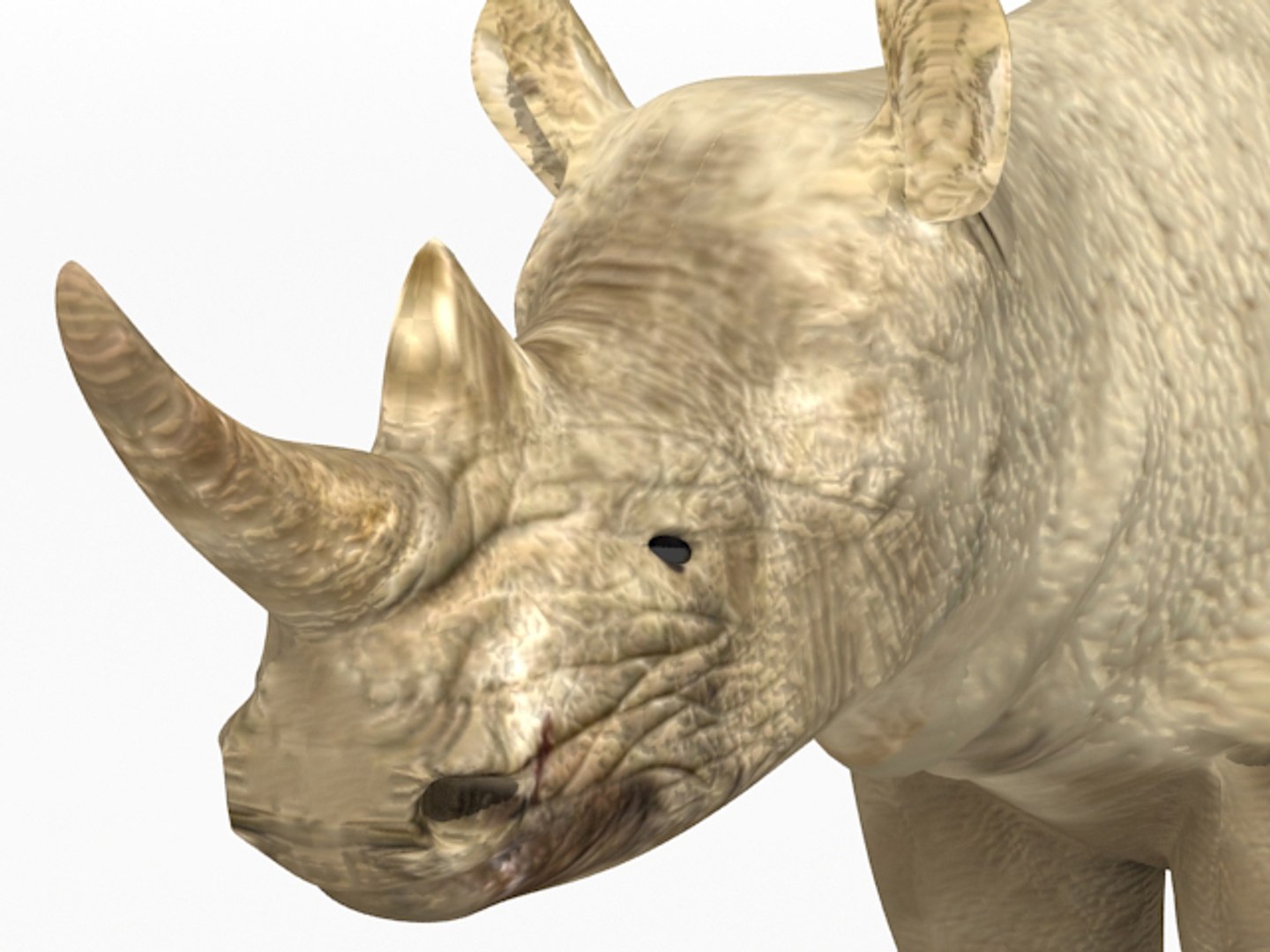 3dsmax rhino rhinoceros https://p.turbosquid.com/ts-thumb/E3/STiNwQ/kjFFAgZO/rhino_06/jpg/1302122305/1920x1080/fit_q87/26d763a032e20802151ca03b8c74d8cf3b4fa32b/rhino_06.jpg