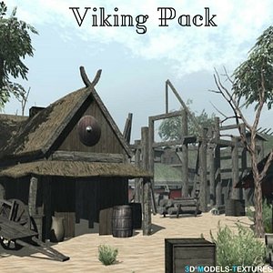 3D viking pack