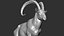 3D wild ibex