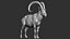 3D wild ibex