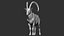 3D wild ibex