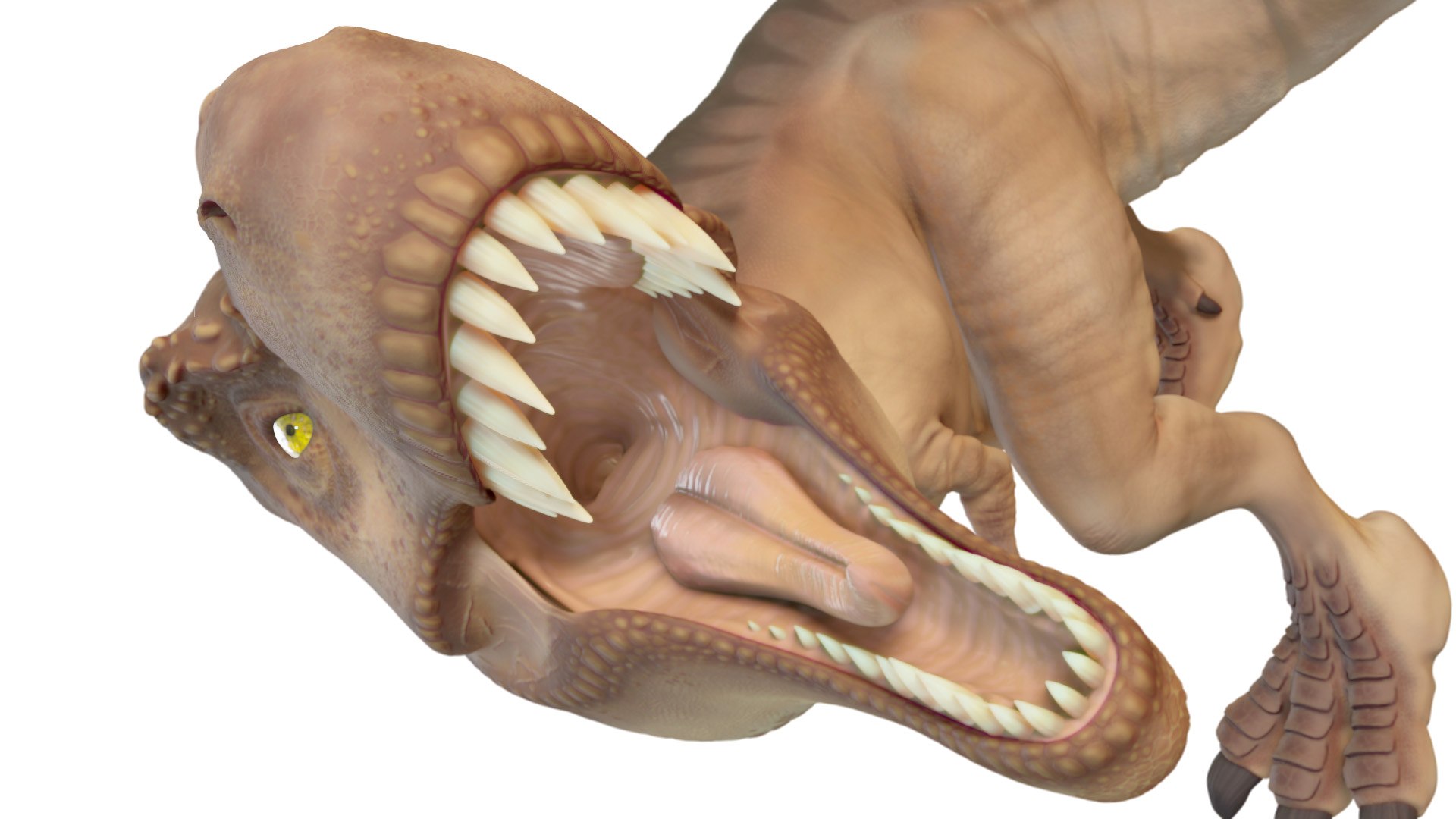 Desenhos animados colecionáveis T-Rex Modelo 3D - TurboSquid 1101619