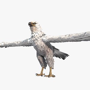 Aerial animals raptors eagles 3D model
