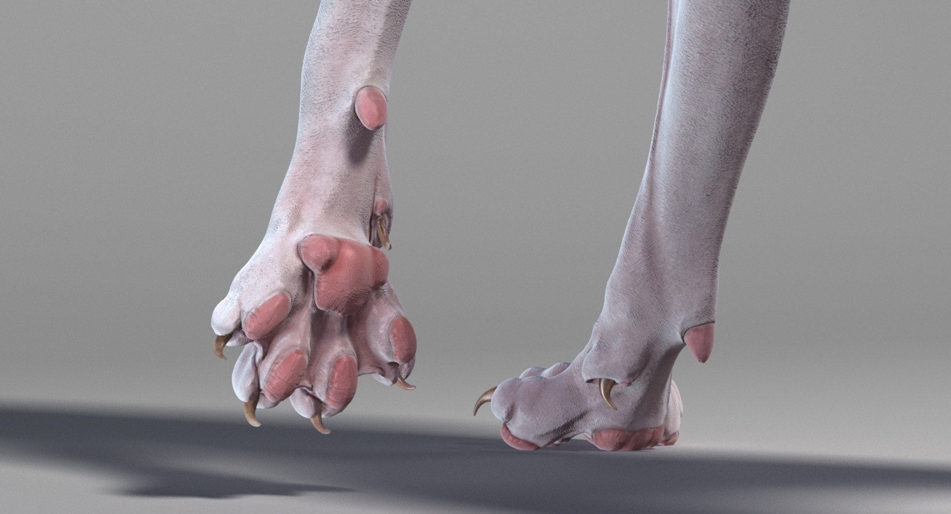 3D sphynx cat rigged https://p.turbosquid.com/ts-thumb/E3/v7FBn1/SxFXCvaR/rigged_22/jpg/1558339263/1920x1080/fit_q87/411dc7eb2f56ef13c1ff74c95a2f4303a9e6955d/rigged_22.jpg