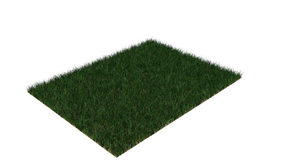 3D grass lawn model - TurboSquid 1662398