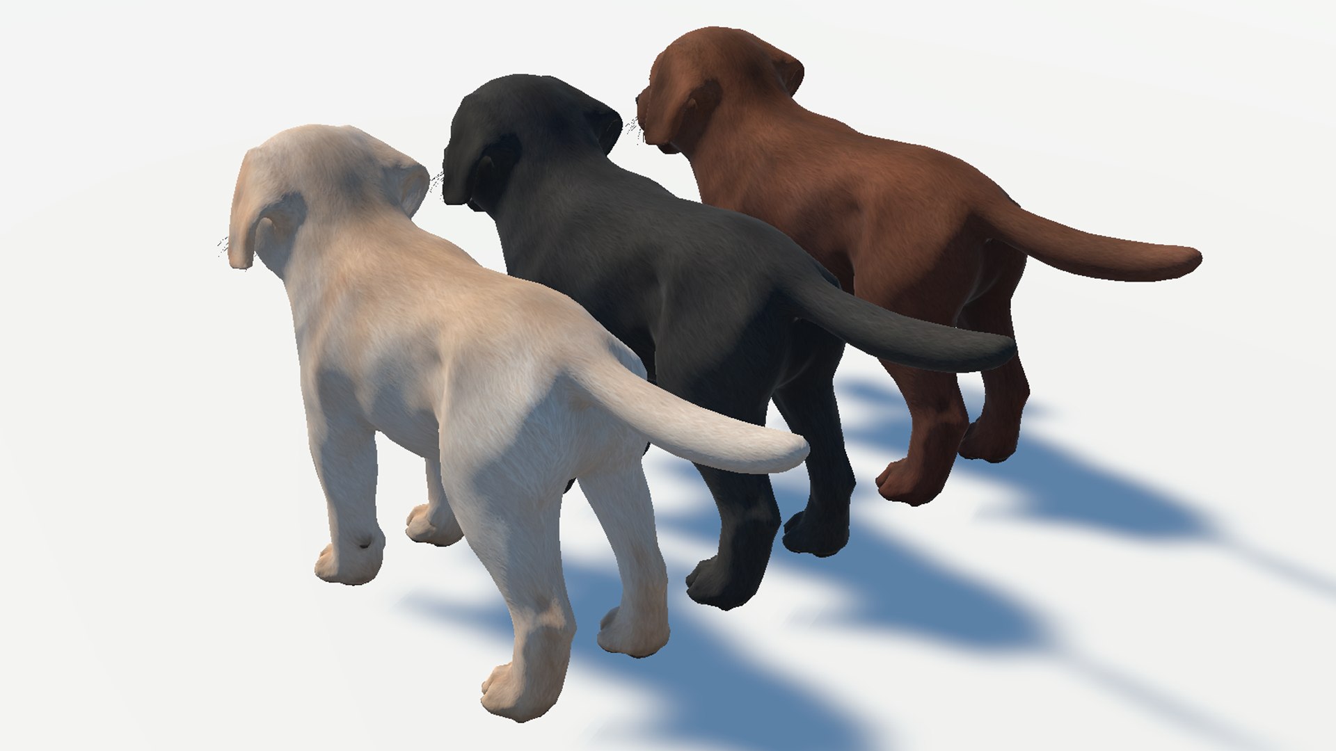 Puppy - Labrador Model - TurboSquid 2070753