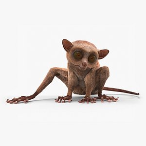 Tarsier Fur Rigged 3D