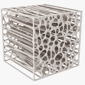 Cube Bone Matrix
