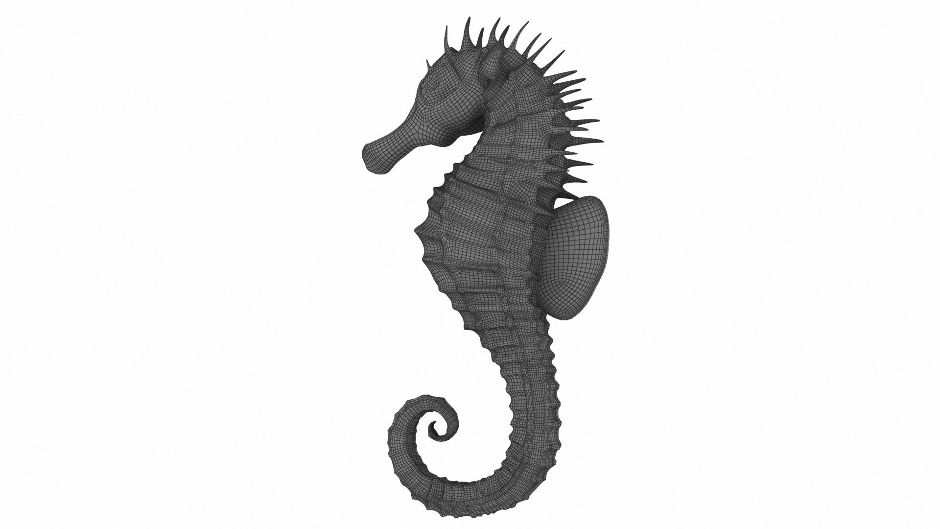 sea horse star fish 3D model https://p.turbosquid.com/ts-thumb/E4/AWqrSu/GPCcVN9F/seahorse5.jpgd7b6af4cc779482c8882aa93ec7ea168defaulthq/jpg/1576841398/1920x1080/fit_q87/06fb9526d1b7d4439c7b11e2a99168e64d3f76ba/seahorse5.jpgd7b6af4cc779482c8882aa93ec7ea168defaulthq.jpg