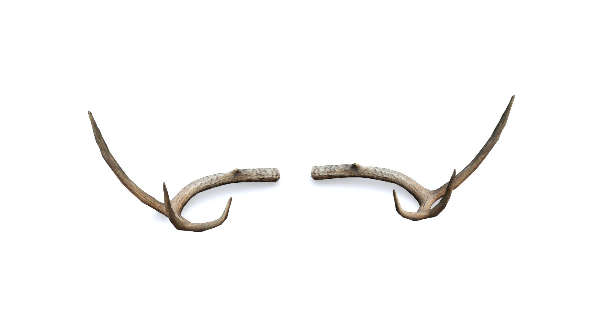 3D Deer Horn - Cuerno de Venado - Low poly model https://p.turbosquid.com/ts-thumb/E4/SOkeC0/Ca/02/jpg/1639025338/1920x1080/fit_q87/dd2affff3071f3cf355157e0a1e5e9e3dd29ac1d/02.jpg