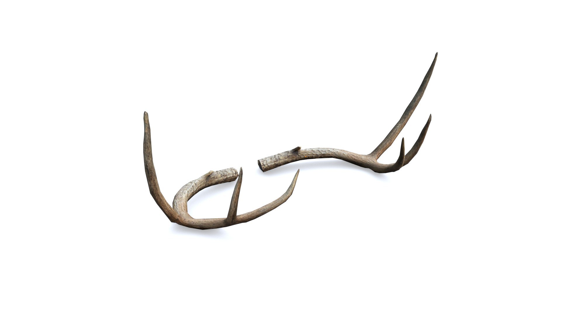 3D Deer Horn - Cuerno de Venado - Low poly model https://p.turbosquid.com/ts-thumb/E4/SOkeC0/Lk/01/jpg/1639025337/1920x1080/fit_q87/575f5439ac615dac1cfa548104784def49092ae2/01.jpg