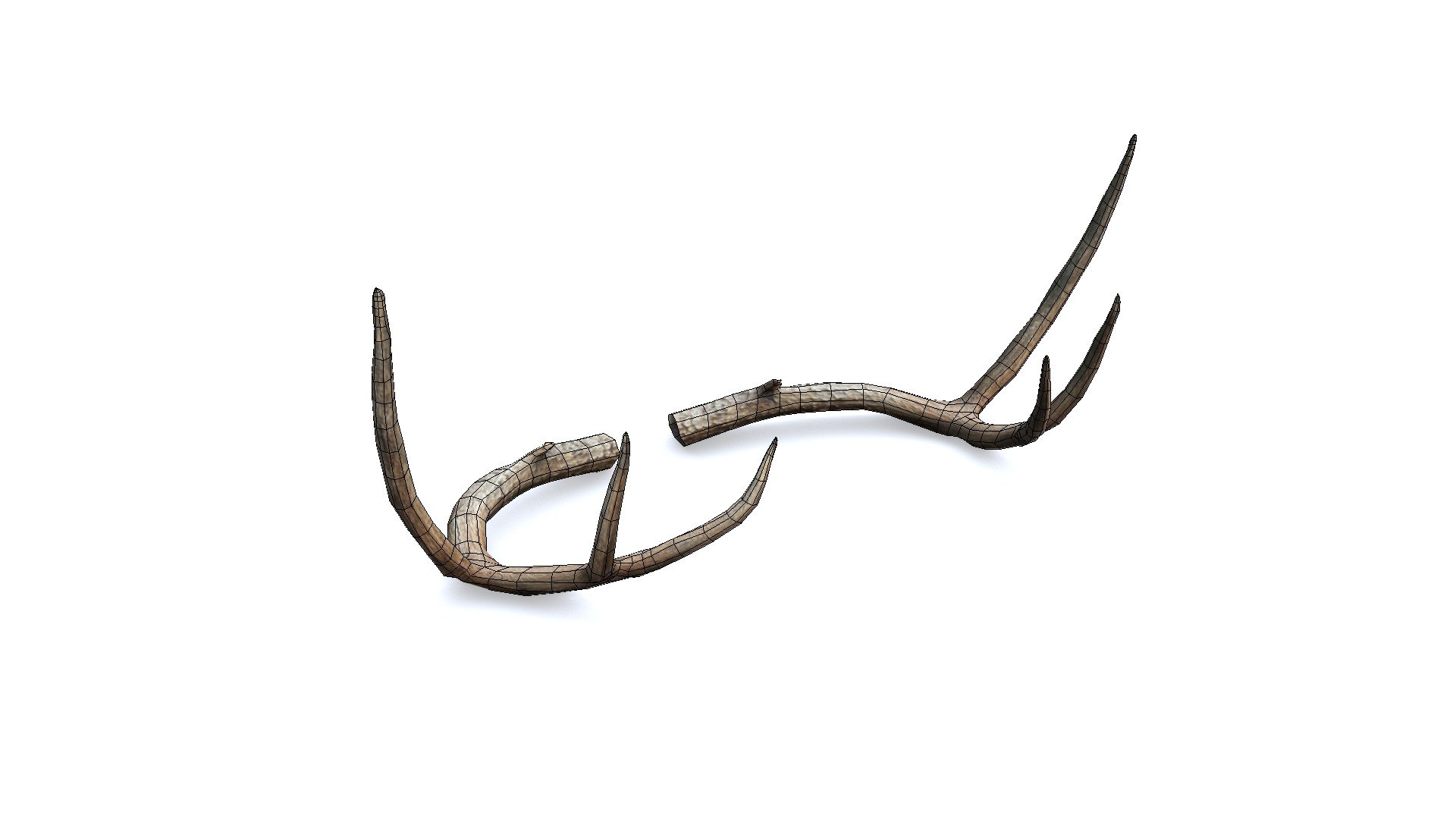 3D Deer Horn - Cuerno de Venado - Low poly model https://p.turbosquid.com/ts-thumb/E4/SOkeC0/QA/c01/jpg/1639025337/1920x1080/fit_q87/d731ef2212a9ba31a67aea6f8b26a4286597ed1b/c01.jpg