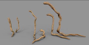 lians roots set pbr 3D model