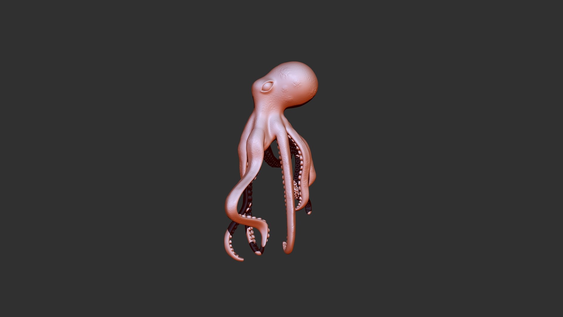 3D Octopus 3d model for 3D printing model https://p.turbosquid.com/ts-thumb/E5/63RvV8/OX/octopus_2/jpg/1730371144/1920x1080/fit_q87/ccca07c11f4f060a48e30b618305485b00b0dd04/octopus_2.jpg