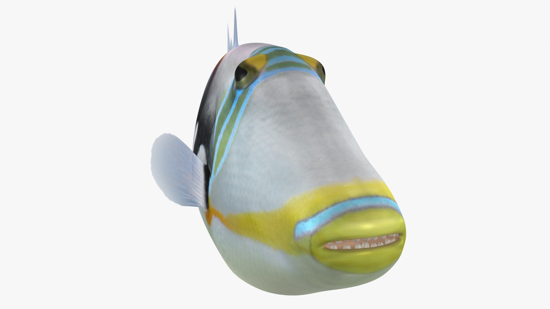 Triggerfish Rigged Model - TurboSquid 1508963