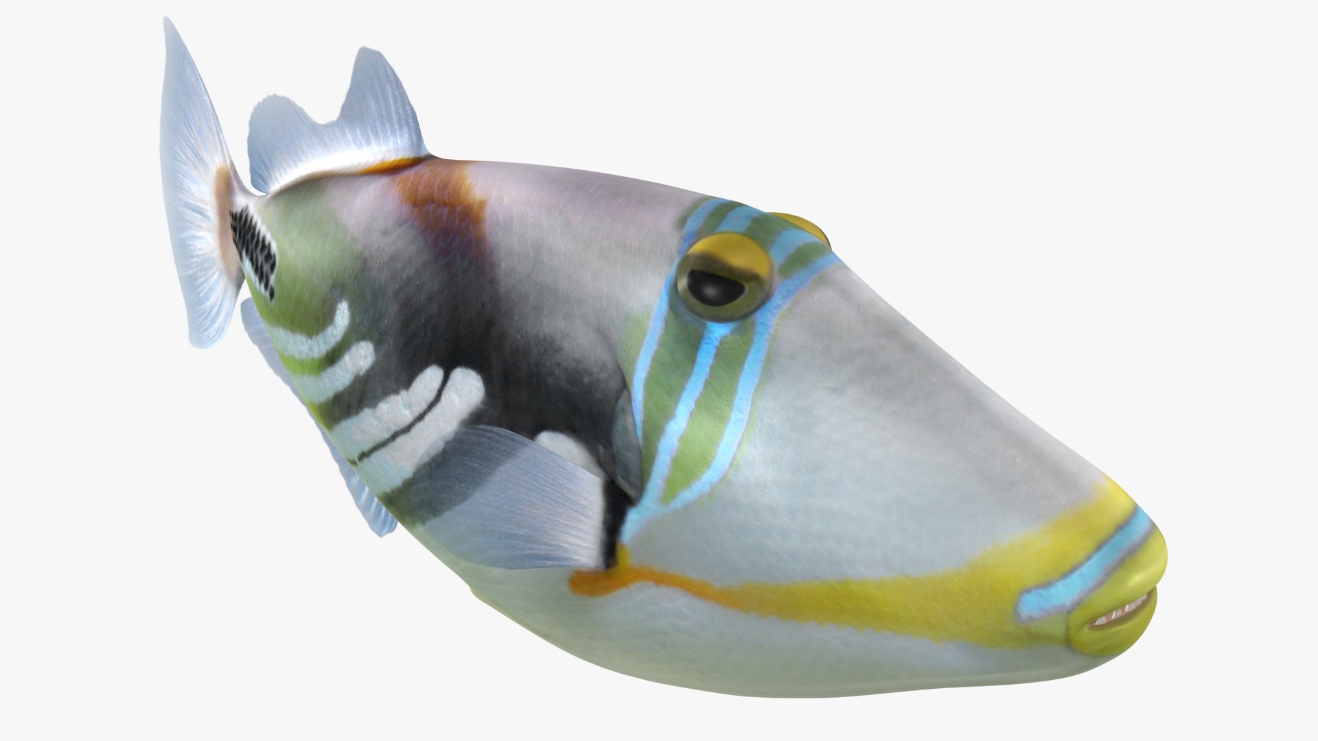 Triggerfish Rigged Model - TurboSquid 1508963