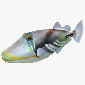 triggerfish rigged model