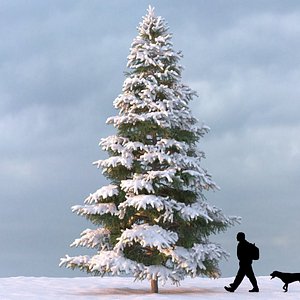 winter tree 3d model