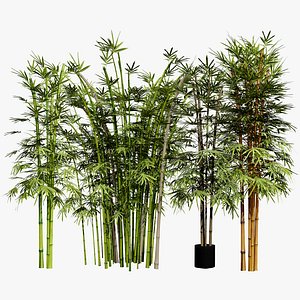 High-Quality Bamboo Assets 3D