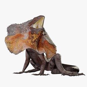 3D lizards animal nature model