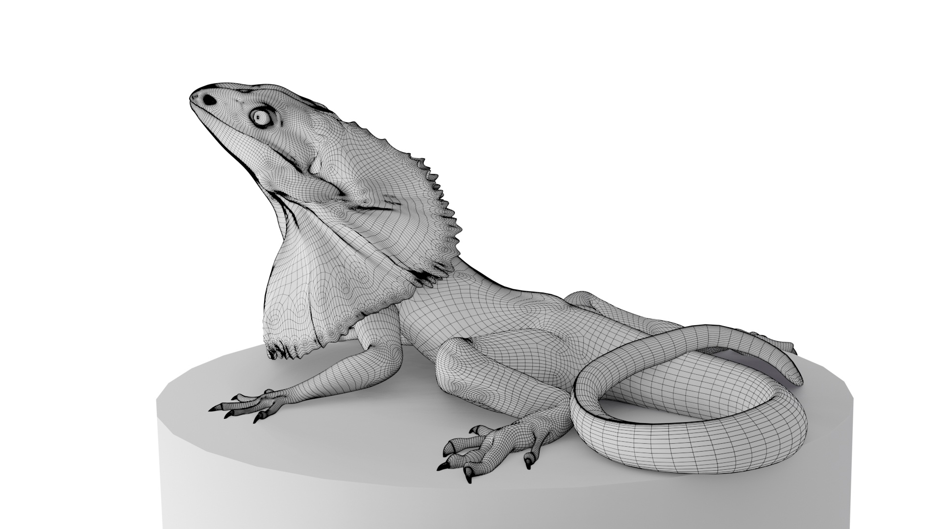 3D Lizards Animal Nature Model TurboSquid 1679514   0039 