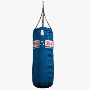 Punching Bag