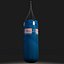 Punching Bag