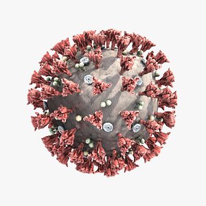 Coronavirus SARS-CoV-2