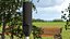 Digital Parking Meters Collection 2