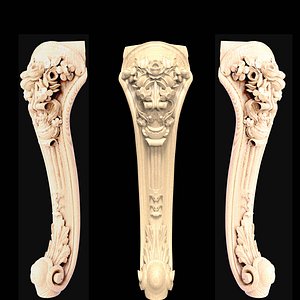 3D leg1
