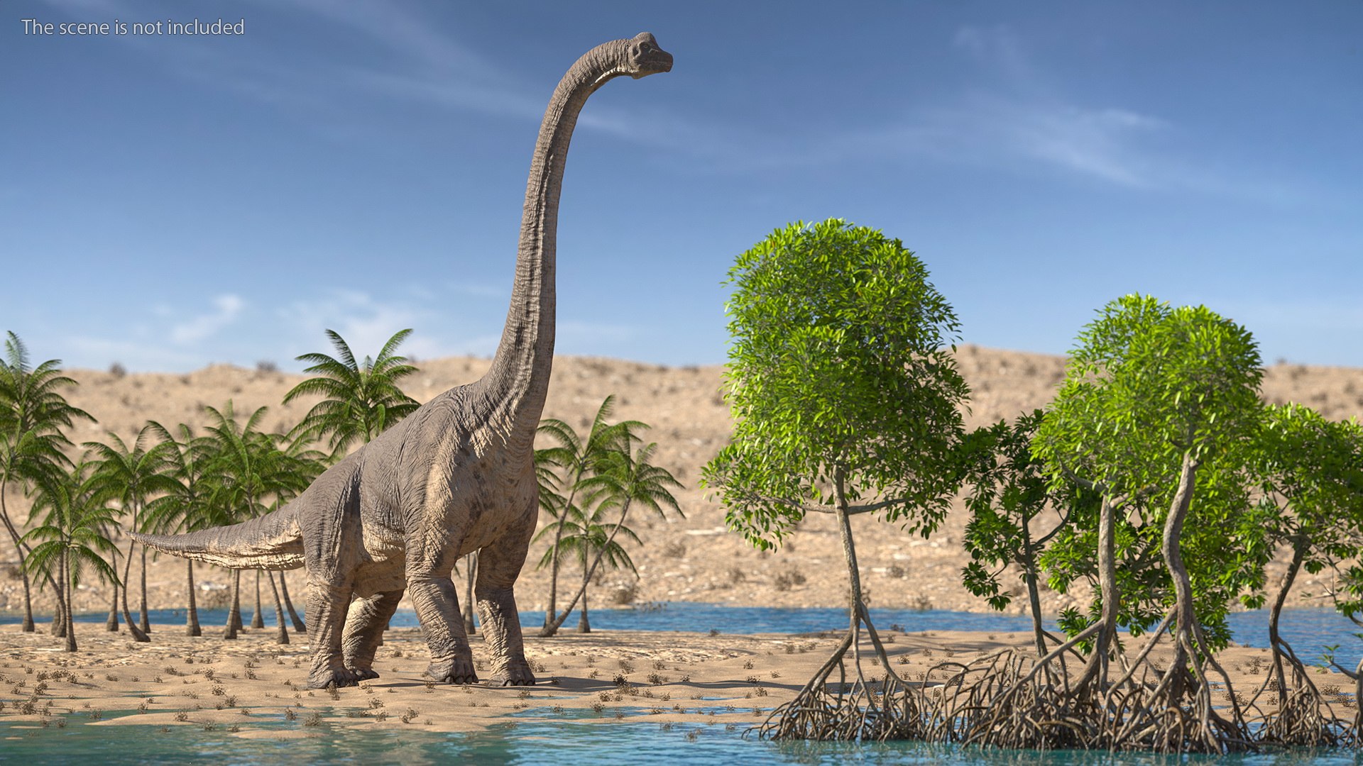 Dinosaurs Collection 8 3D model https://p.turbosquid.com/ts-thumb/E5/qgXewO/hS/dinosaurs_collection_8_051/jpg/1741254033/1920x1080/fit_q87/aa4ed51d7e647f6125dacb802abf04d2d885dc09/dinosaurs_collection_8_051.jpg