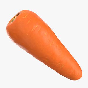 Fresh Carrot 02 3D model