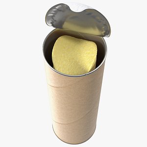 Open Paper Tube with Chips model