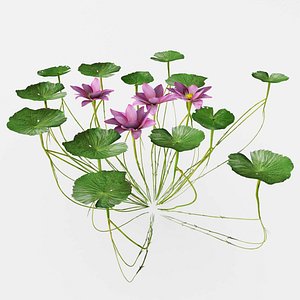 flower 3D