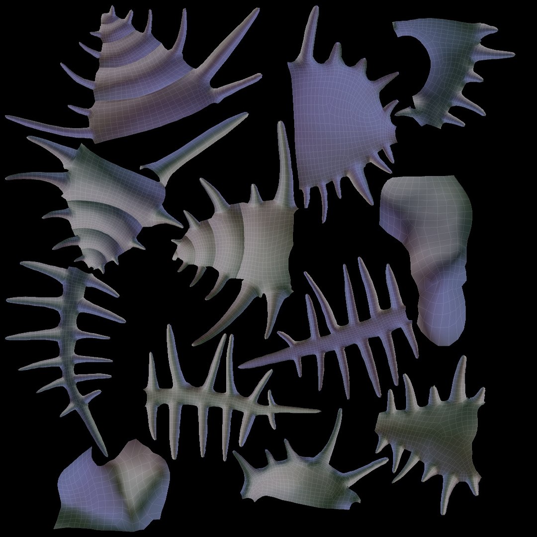 3d Model Shell