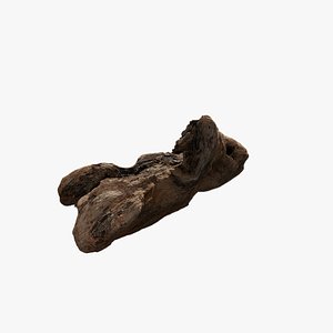 Anydrafts Log 20 3D