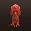 3D anatomy face head