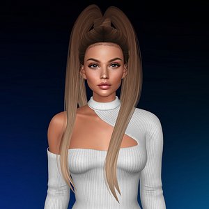 hairstyle secondlife 3D model