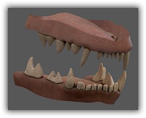 teeth heyna