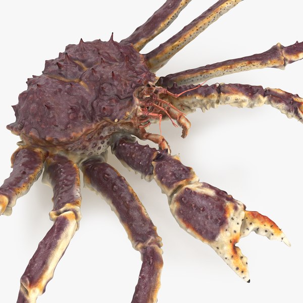 king crab 3D model