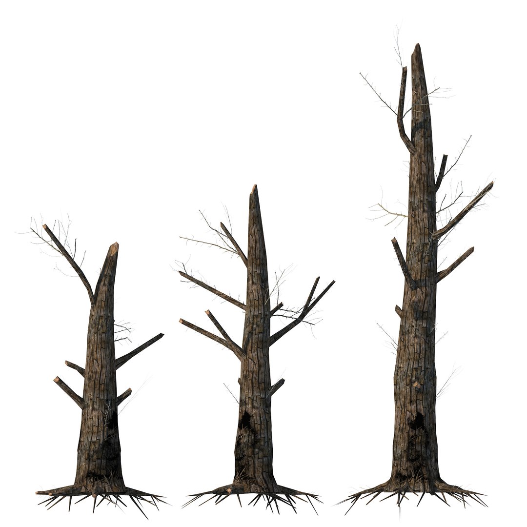 Burned Standing Dead Trees 3D Model TurboSquid 2103925