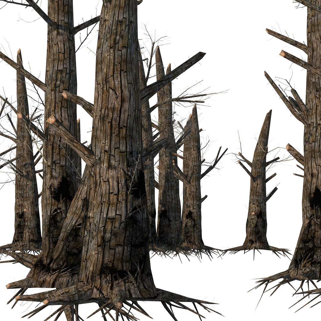 Burned Standing Dead Trees 3D Model TurboSquid 2103925