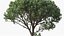Collezione di piante mediterranee - Includi file GrowFX e Mesh