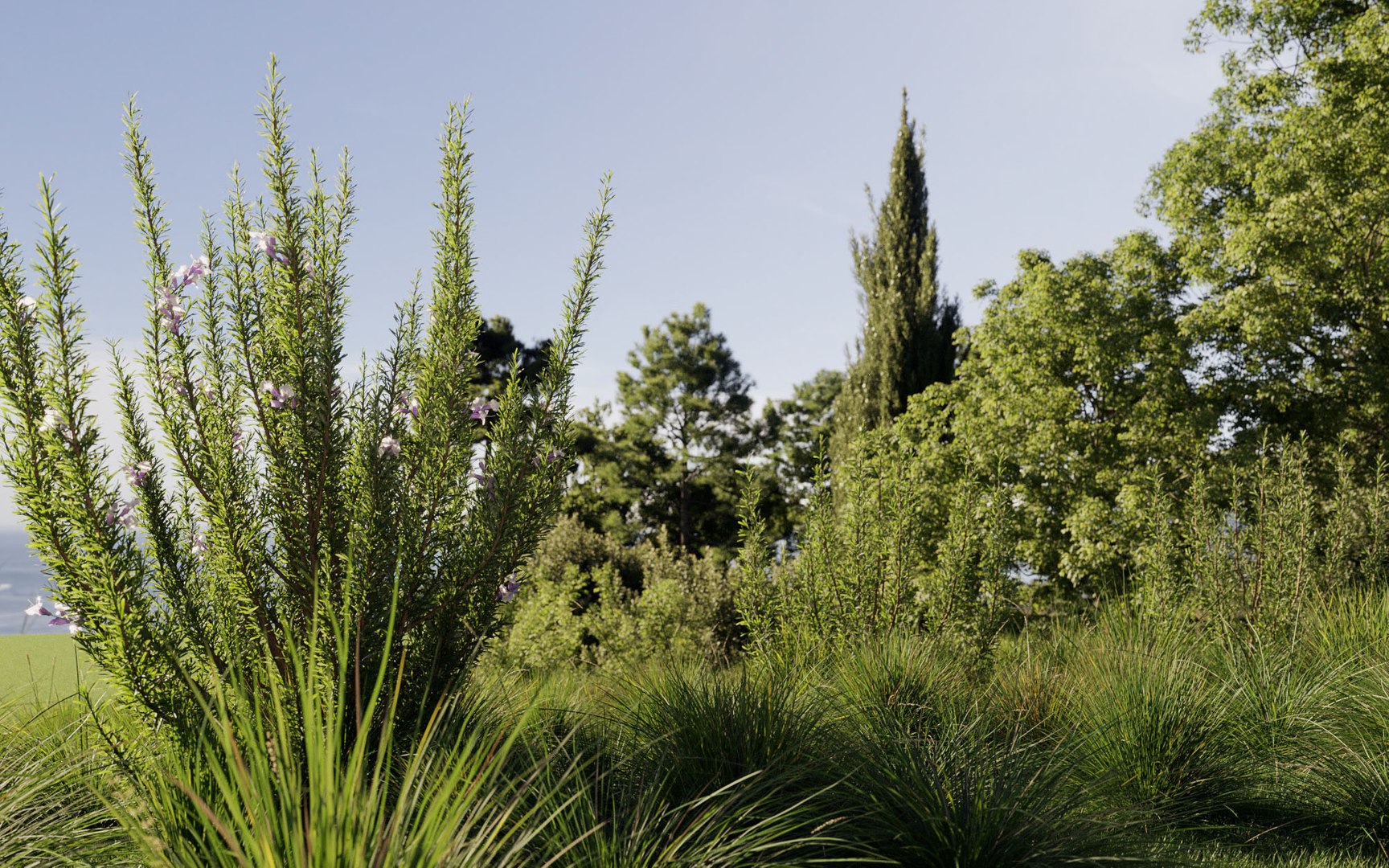 3D model mediterranean plants includes growfx https://p.turbosquid.com/ts-thumb/E6/Quf1mm/RsqYLVPY/0mediterraneanplantsv2502/jpg/1605602109/1920x1080/fit_q87/605a798ce06fab1c8b3cef23f703ea8f69af2485/0mediterraneanplantsv2502.jpg