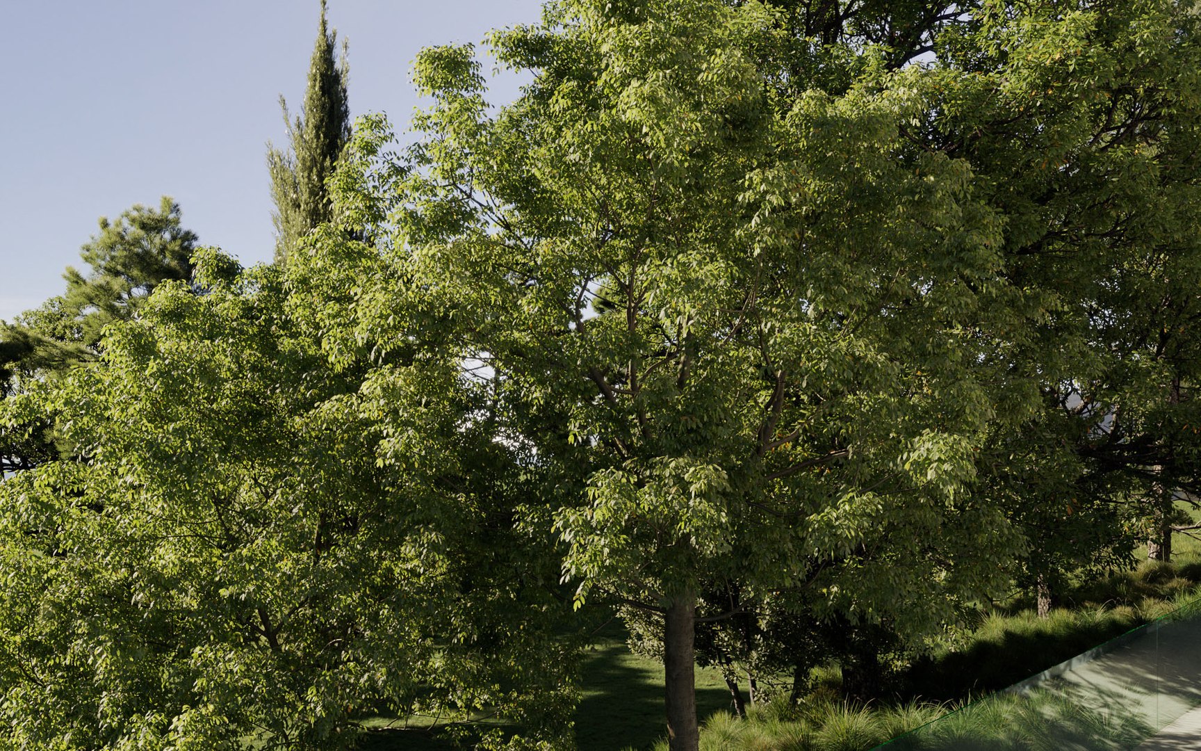 3D model mediterranean plants includes growfx https://p.turbosquid.com/ts-thumb/E6/Quf1mm/ffi4QV4W/0mediterraneanplantsv2505/jpg/1605602109/1920x1080/fit_q87/3096f658f697f4d0c51a299fee8ff5f59175f28d/0mediterraneanplantsv2505.jpg
