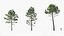 Collezione di piante mediterranee - Includi file GrowFX e Mesh