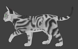 Kitten