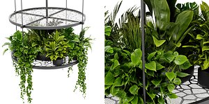 3D Collection plant vol 432 - blender model