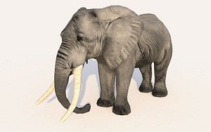 elephant animations 3D model