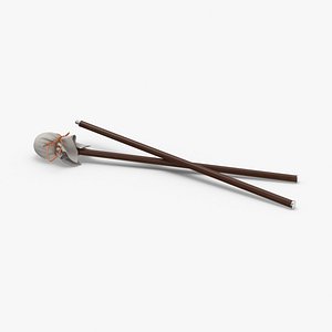 Artist's Mahlstick